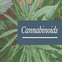 Active ingredients of medical marijuana