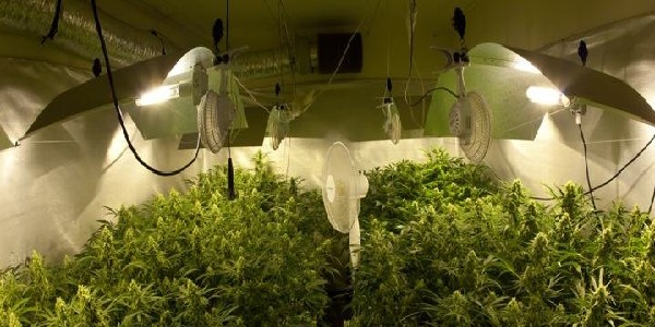 Proper ventilation to mask weed smell