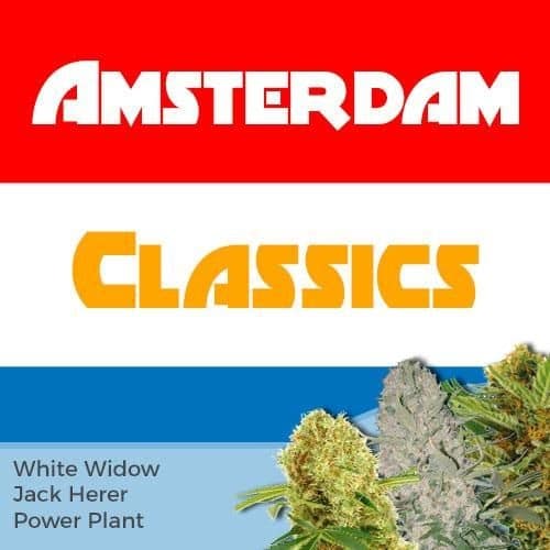 ILGM - Amsterdam Classics Mix