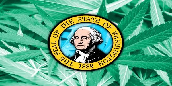 Growing Weed in Washington