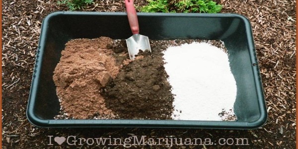 Soil Potting Mix