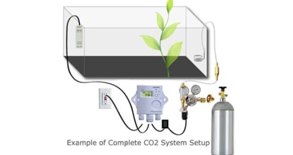CO2 system setup. Over $1000,- investment