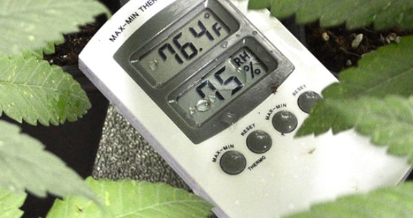 Measuring temperature and humidity