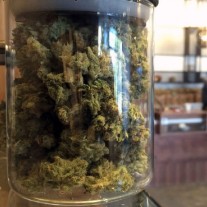 Marijuana bottle in a grow shop in California