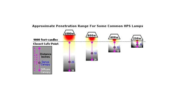 Different HPS lamps with distance for best yield