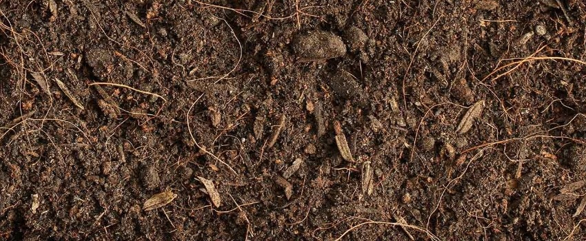 How to make average soil better