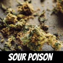 sour poison strain