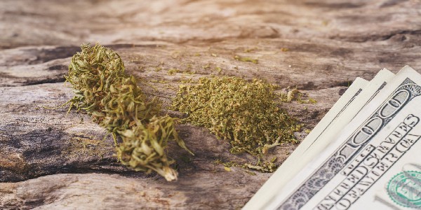 Factors affecting price of marijuana seeds
