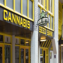 Seed Banks that Ship to the U.S.A.
