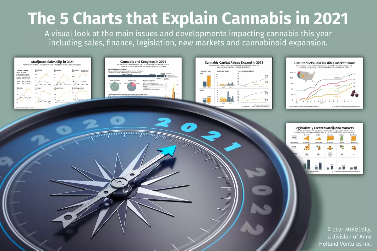 Cannabis in 2021, 5 charts that explain the cannabis industry’s unpredictable 2021
