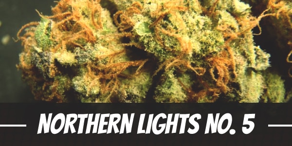 Northern Lights No. 5