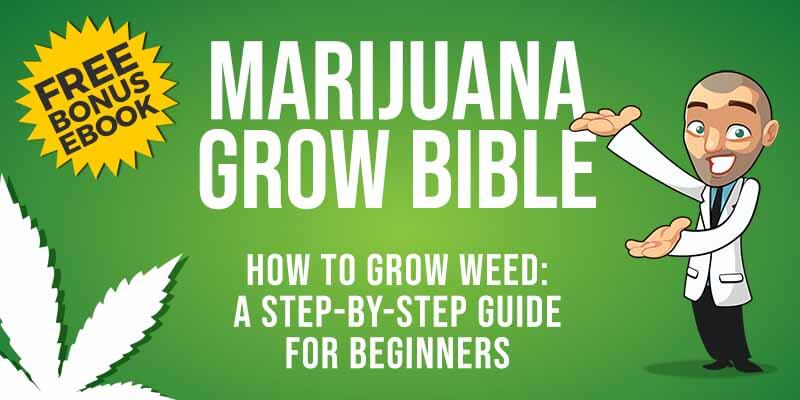 marijuana grow bible ebook - step by step