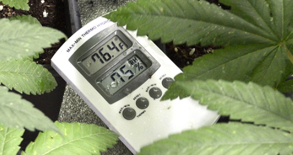 Optimize your plants' environment in every stage of growth