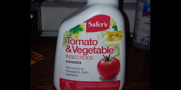 Tomato Leaf Insecticide