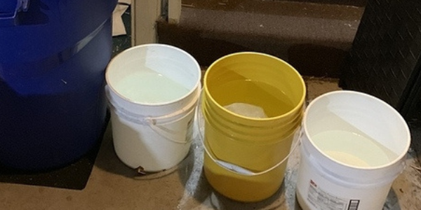 Washing marijuana buds in buckets