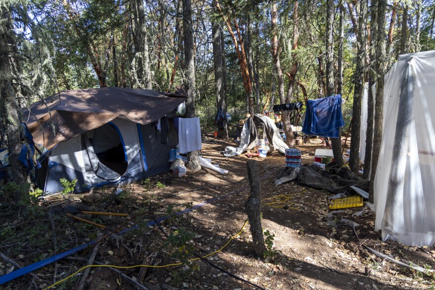 A tent covered with a tarp and a makeshift shelter made with vinyl sheeting stand underneath the shade in a small forest grove. Litter including dirty towels, cases of water bottles and other trash are strewn about.